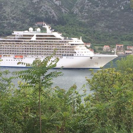 Apartmán Studio Jeff 1 Kotor Exteriér fotografie