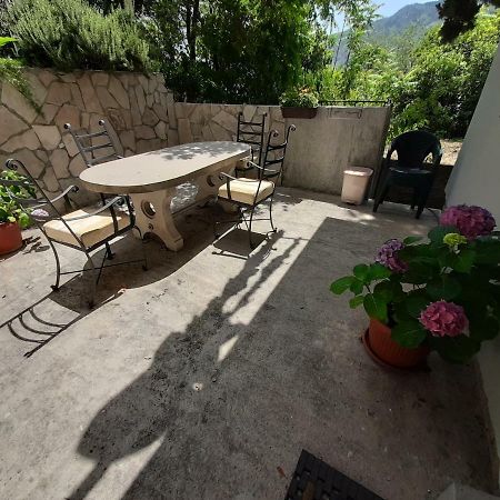 Apartmán Studio Jeff 1 Kotor Exteriér fotografie