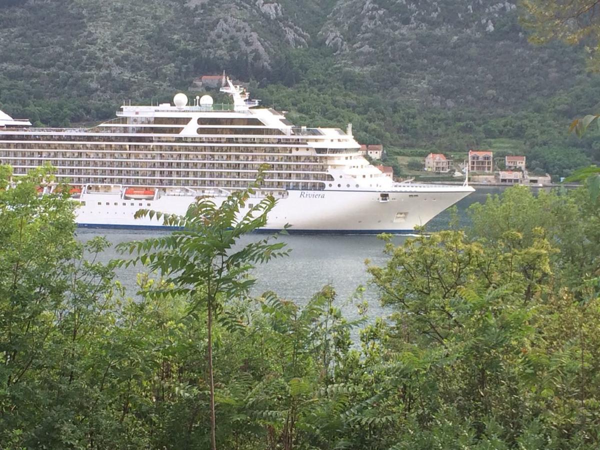 Apartmán Studio Jeff 1 Kotor Exteriér fotografie