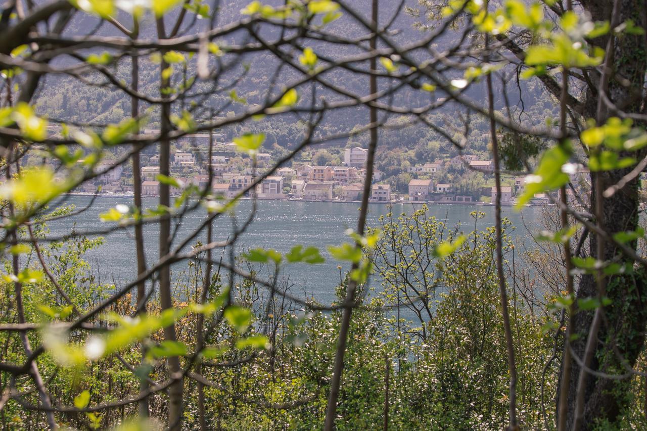 Apartmán Studio Jeff 1 Kotor Exteriér fotografie